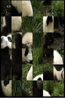 Cute Panda imagem de tela 1