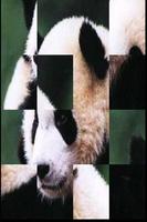 BIG Panda Puzzle free poster