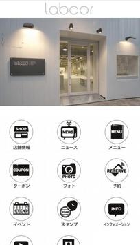 labcor 截图 1