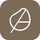 pepin APK