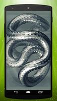 Tentacle Live Wallpaper Affiche