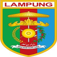 Serba Serbi Lampung captura de pantalla 3