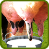 Cow Milk APK