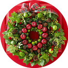 DIY Christmas Wreath Ideas icône