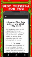 Funny Cat Sounds Tips capture d'écran 1