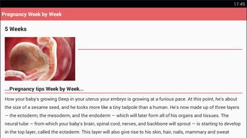 Pregnancy week by week تصوير الشاشة 2