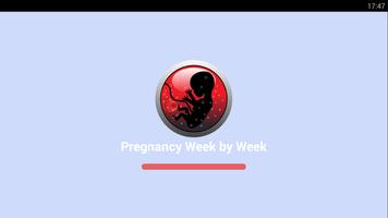 Pregnancy week by week تصوير الشاشة 3