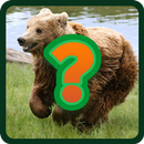 Ghicește Animalul APK