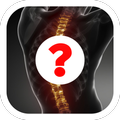 Human Anatomy Quiz
