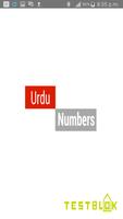 Urdu Ginti (Numbers) Plakat