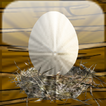 ”Tamago 3D