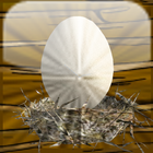 Tamago 3D Zeichen