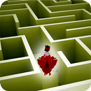 3D Labyrinth Runaway Jumper aplikacja