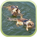 Police Dog Stunt Training APK