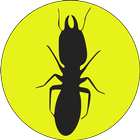 Termite world wide-icoon