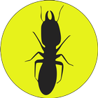 Termite world wide icon