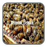 Ternak Lebah