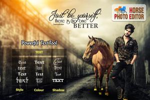 Horse Photo Editor Affiche
