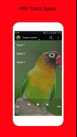 Master Lovebird|Kicau Mania 스크린샷 2