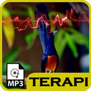 Terapi Burung Murai Batu APK