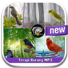 MP3 Bird Therapy icône