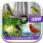 MP3 Bird Therapy icon