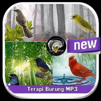 MP3 Bird Therapy capture d'écran 3