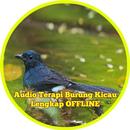 Audio Terapi Burung Kicau Lengkap Offline-APK