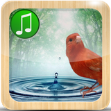 Terapi Suara Air icon