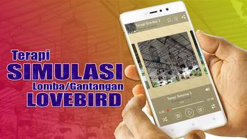 Terapi Simulasi Lomba Lovebird 스크린샷 1