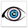 Eye Training - EIS