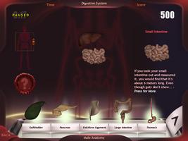 Evolutionary Anatomy screenshot 1
