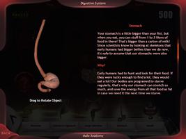 Evolutionary Anatomy screenshot 2
