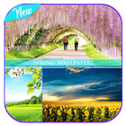 Spring Wallpapers 图标