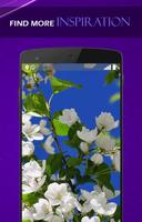 Spring Wallpapers اسکرین شاٹ 1