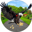 Wild Birds Shooting-Chicken Survival APK