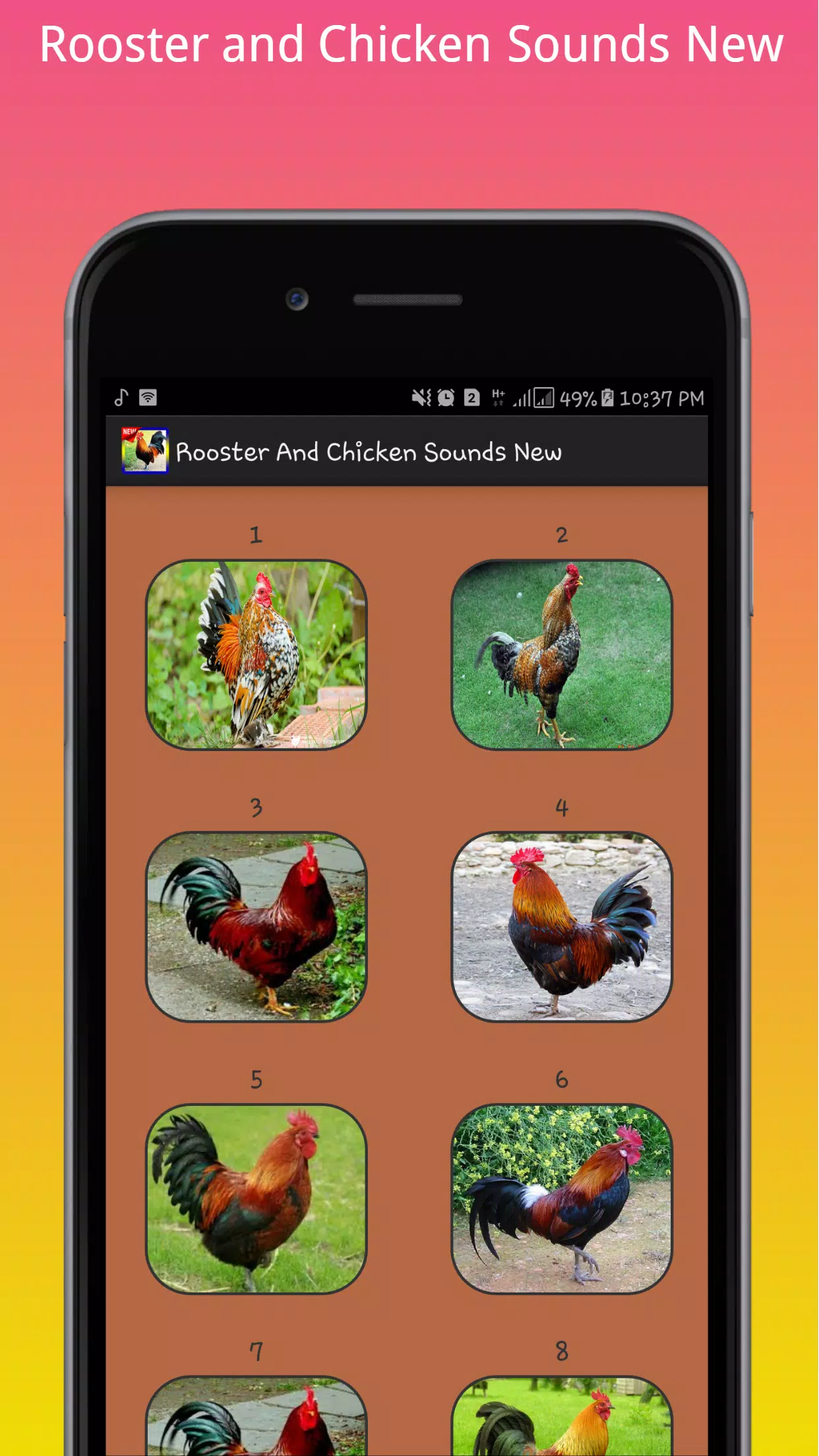 Rooster Sounds – Apps no Google Play