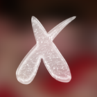 X-splash! icône