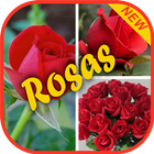 🏵 Imágenes de rosas 🌹 icône