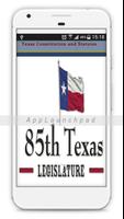 Texas Legislature poster