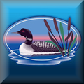 Rideau Lakes Township
