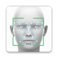 Facelyser