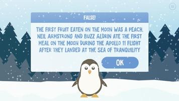 True and False 2 تصوير الشاشة 2