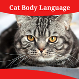 Cat Body Language