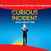 Curious Incident Of Dog In The Nighttime Summary
