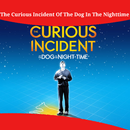 Curious Incident Of Dog In The Nighttime Summary APK