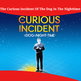 Curious Incident Of Dog In The Nighttime Summary icon