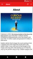 Curious Incident Of Dog In The Nighttime Summary Screenshot 2