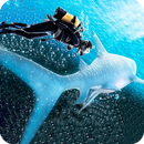 Fish Hunter Top Swimmer APK