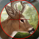 Deer Hunting Free Fun - 2017 APK